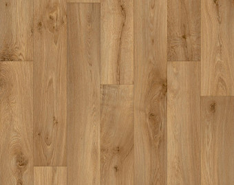 [700111305_18] Strong Plus - Willow Oak 662M
